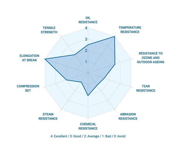 Infographie FVMQ_EN